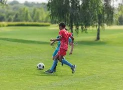 吴尊分享家,庭温馨瞬间,网友感慨,开宝体育官网,APP下载,注册领彩金,官方网站,网站入口