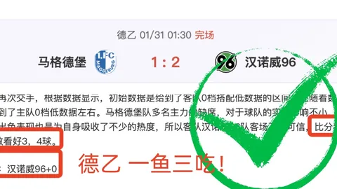 蒙扎vs恩特拉：主场复仇专家预测，期号前瞻质合分析